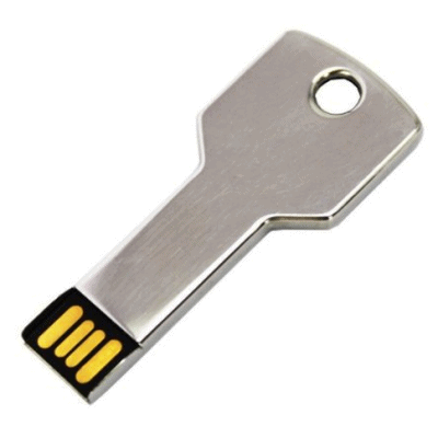 Key USB Flash Drive - 1GB-1
